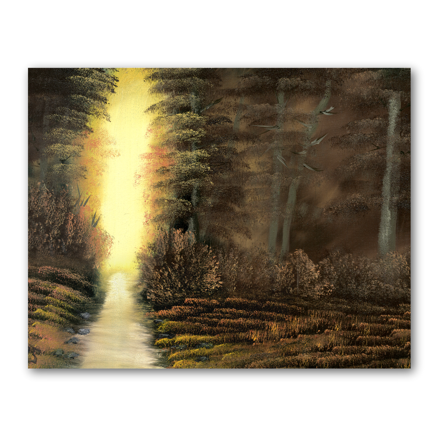 Sunlight In The Shadows Art Print