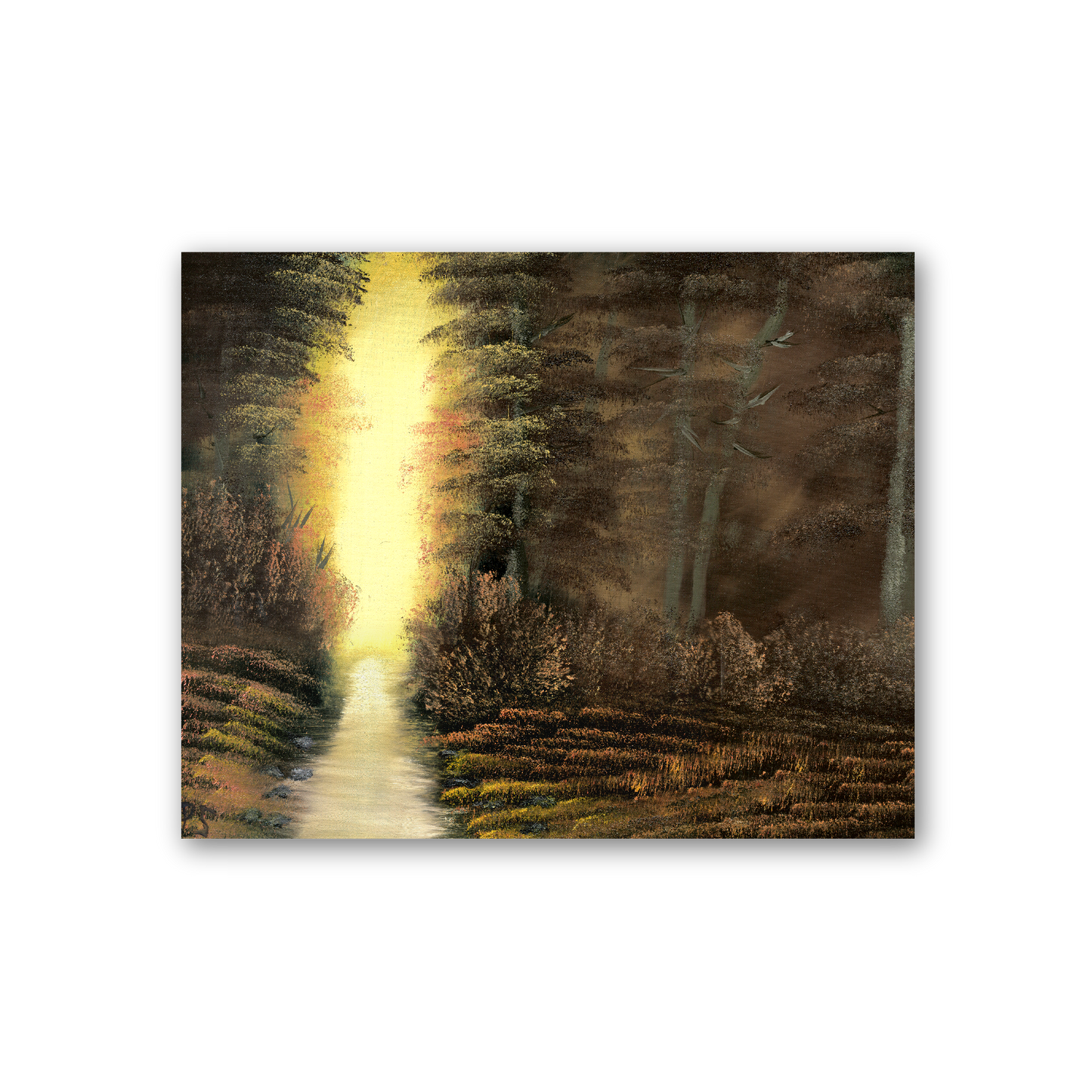 Sunlight In The Shadows Art Print